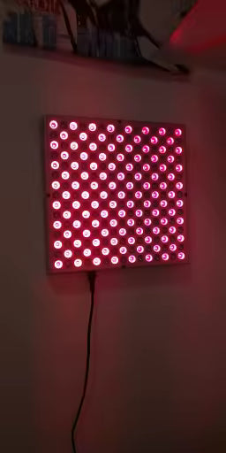 LED Red Light Therapy Panel Lamp  225 LEDs